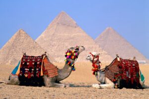 Egypt Cairo Camels610015133